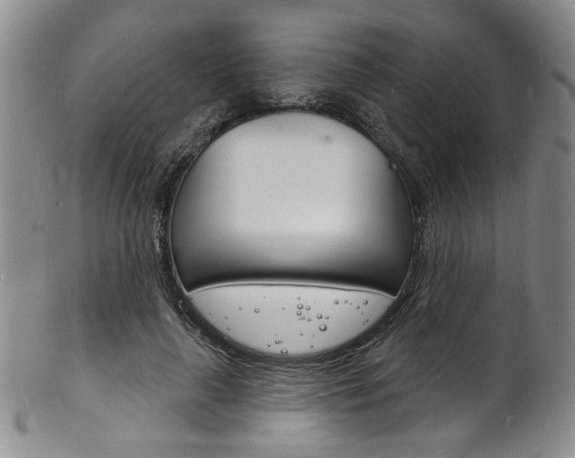 X0000101690643200807101209