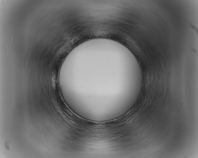 X0000101690644200807101209