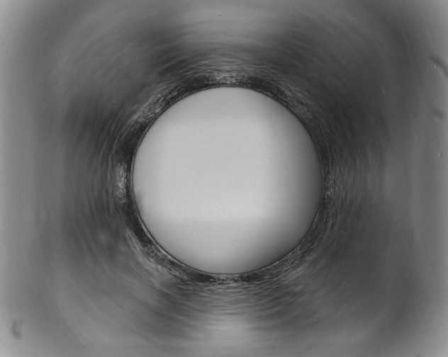 X0000101690646200807101209