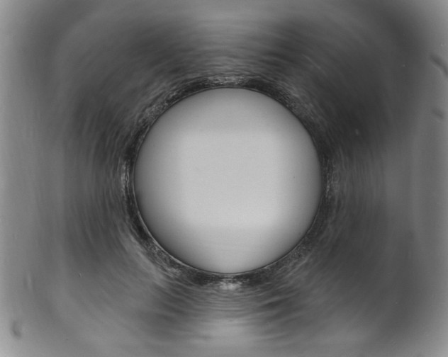 X0000101690647200807101209