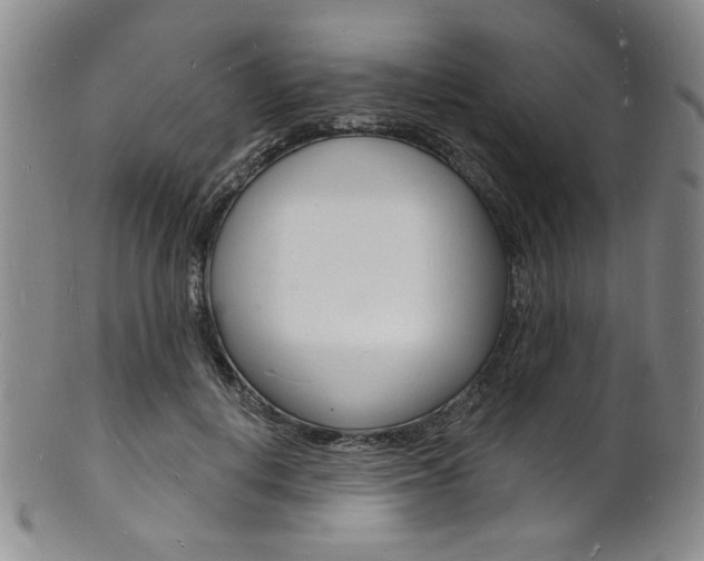 X0000101690648200807101209