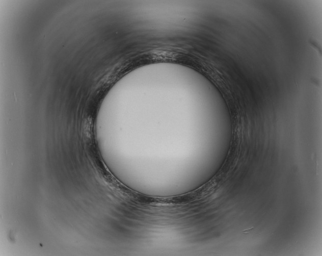 X0000101690649200807101209