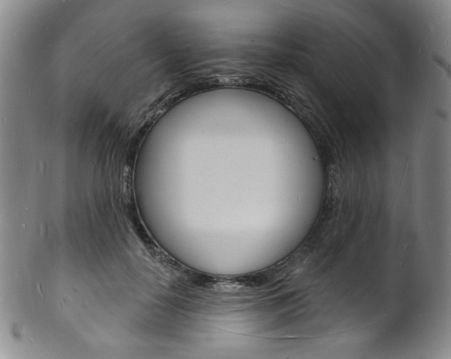 X0000101690650200807101209