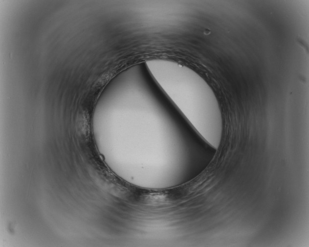 X0000101690651200807101209