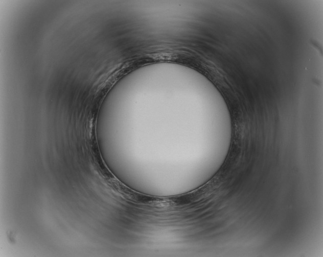 X0000101690652200807101209