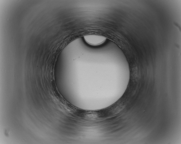 X0000101690653200807101209