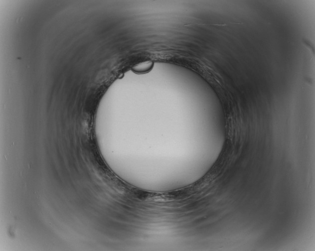X0000101690655200807101209