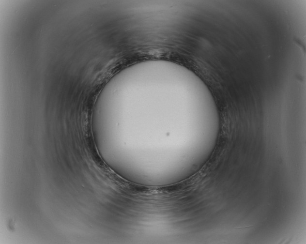 X0000101690656200807101209