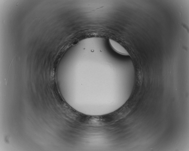X0000101690657200807101209