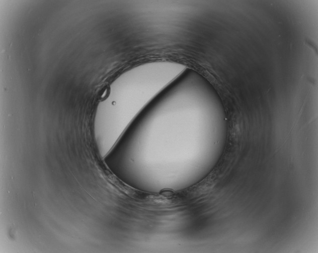 X0000101690658200807101209