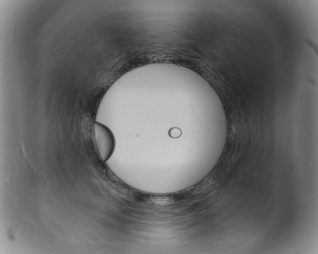 X0000101690659200807101209
