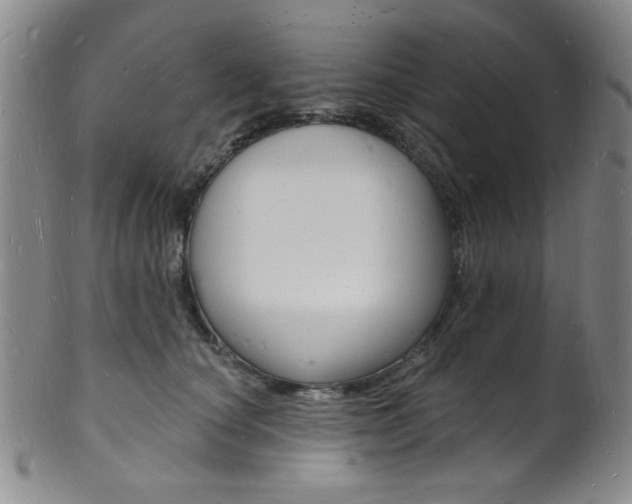 X0000101690660200807101209