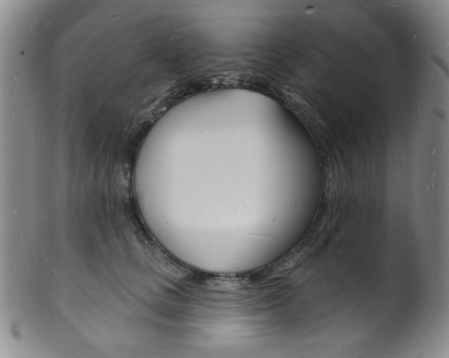 X0000101690661200807101209