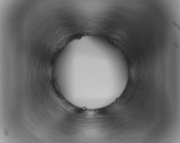 X0000101690662200807101209