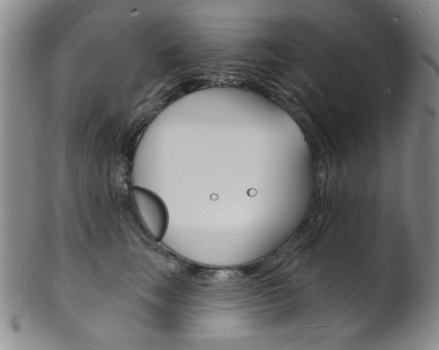 X0000101690663200807101209