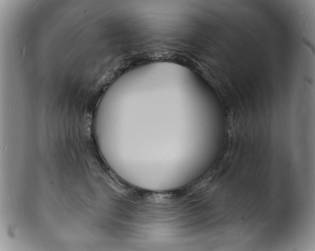 X0000101690664200807101209