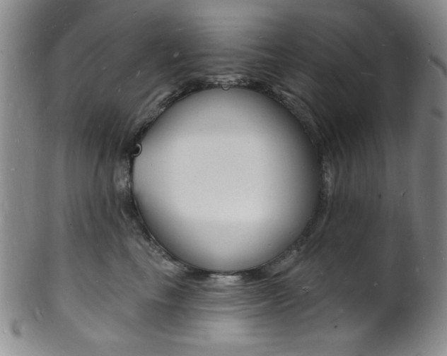 X0000101690665200807101209
