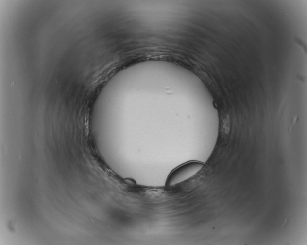 X0000101690666200807101209