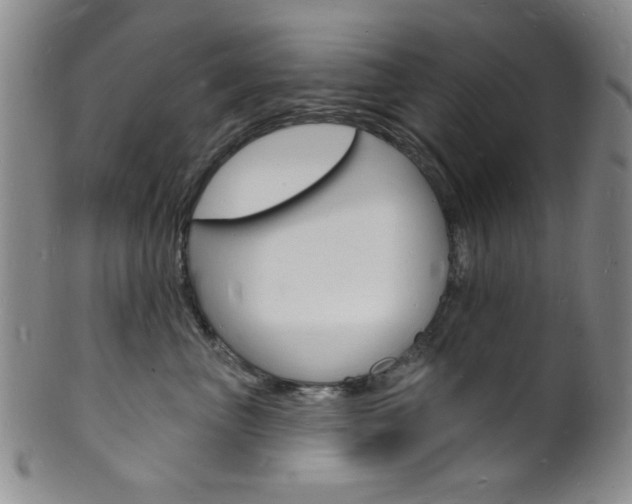 X0000101690667200807101209