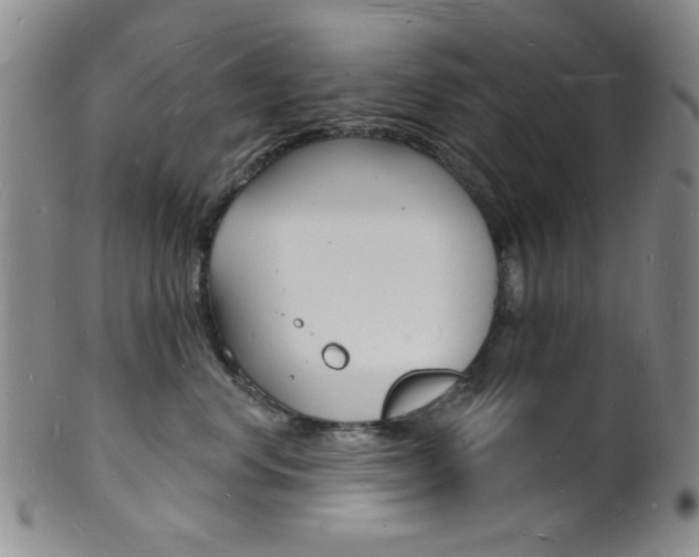 X0000101690668200807101209