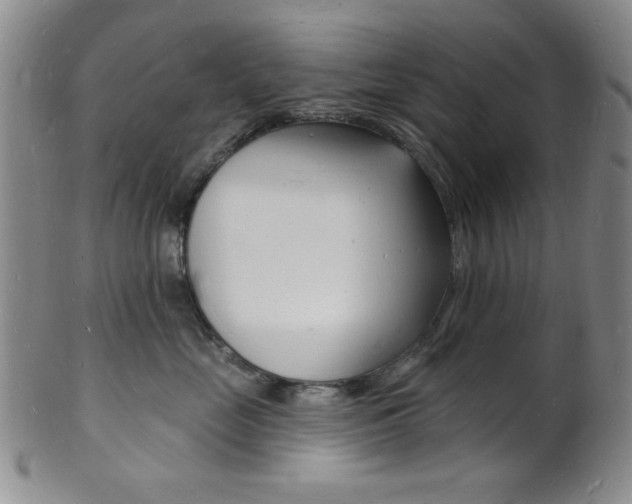 X0000101690669200807101209