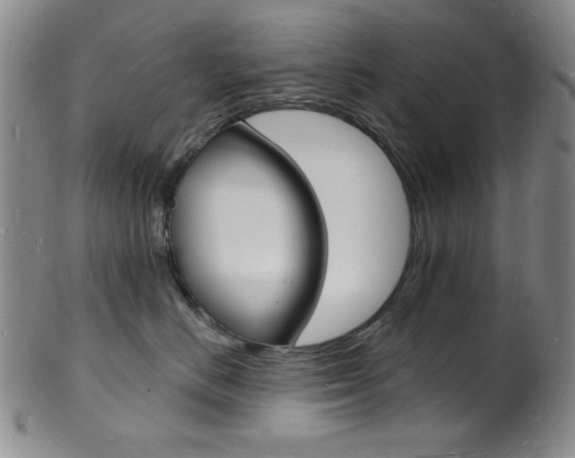 X0000101690670200807101209