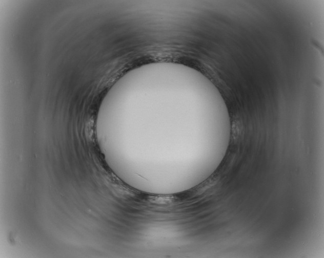X0000101690671200807101209