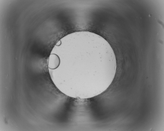 X0000101690672200807101209