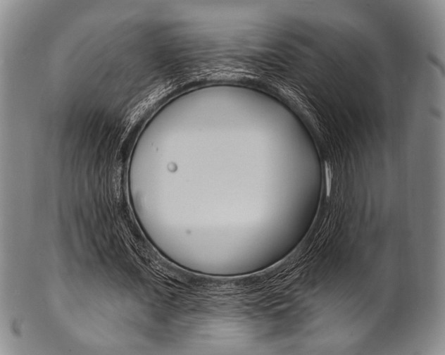 X0000101690675200807101208