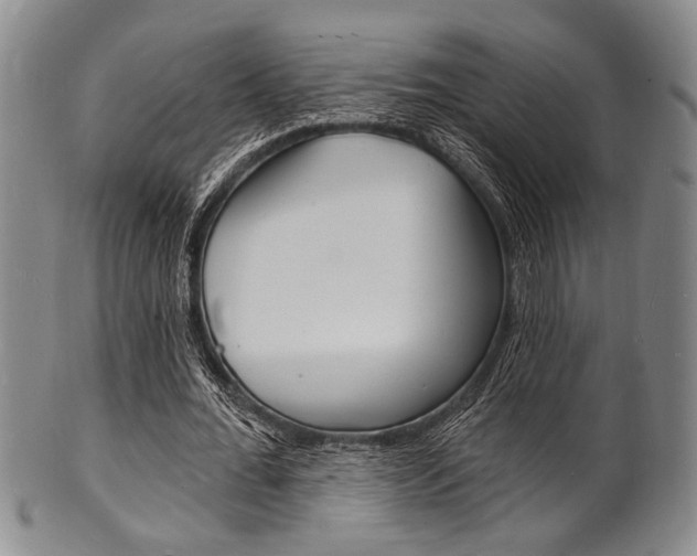 X0000101690676200807101208