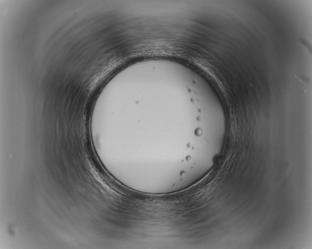 X0000101690677200807101208