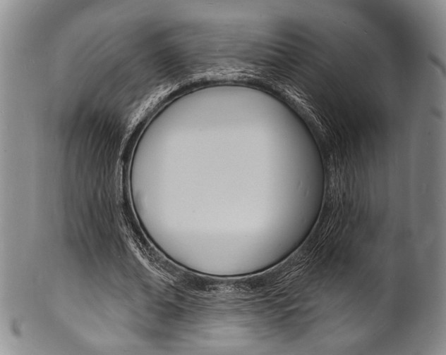 X0000101690678200807101208