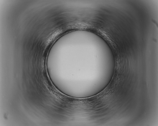 X0000101690679200807101208