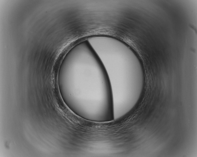 X0000101690680200807101208