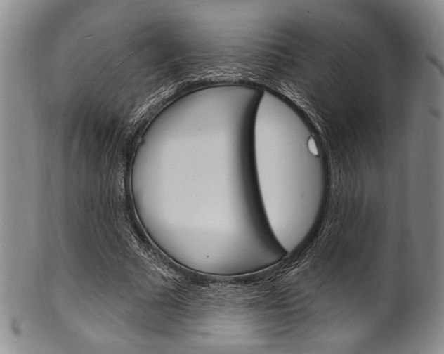 X0000101690681200807101208