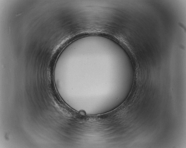 X0000101690684200807101208