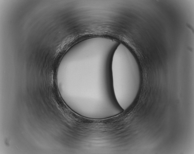 X0000101690685200807101208