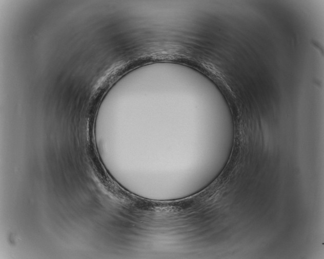 X0000101690686200807101208