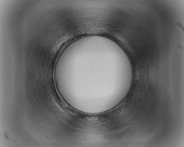 X0000101690687200807101208