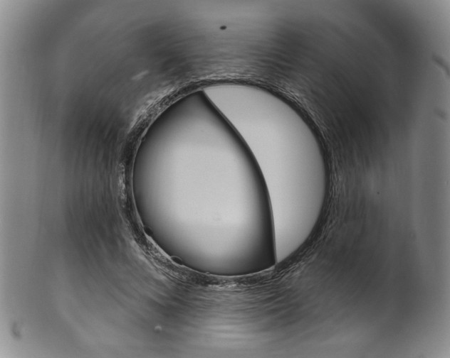 X0000101690688200807101208