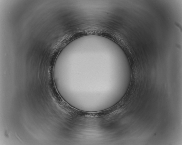 X0000101690690200807101208