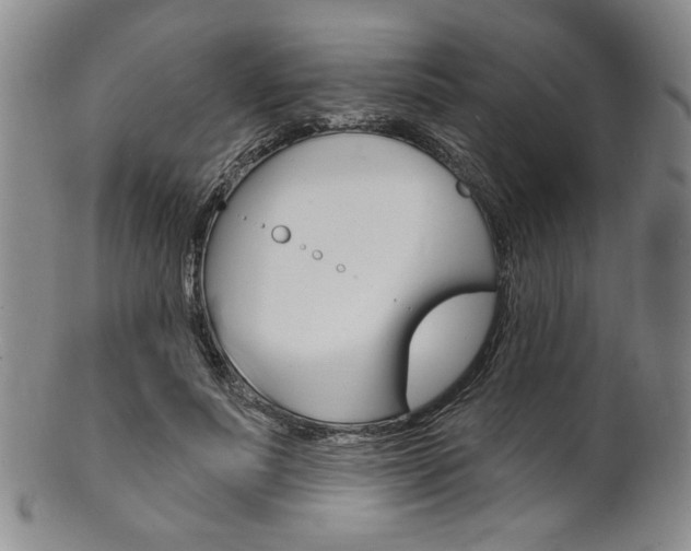 X0000101690691200807101208