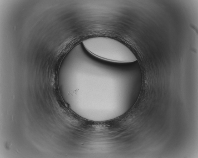 X0000101690693200807101208