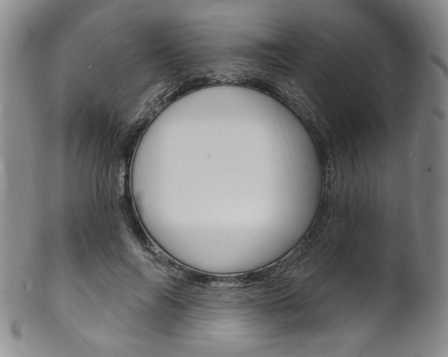 X0000101690694200807101208