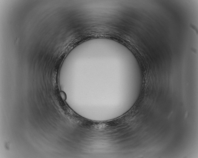 X0000101690695200807101208