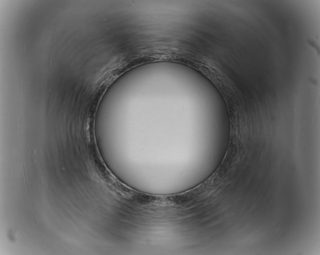 X0000101690696200807101208