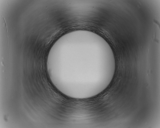 X0000101690697200807101208