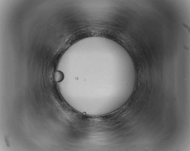 X0000101690698200807101208