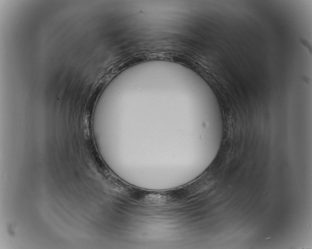 X0000101690699200807101208