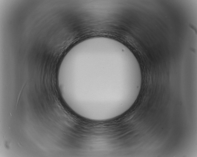 X0000101690700200807101208